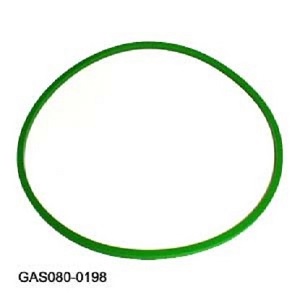 GAS080-0198